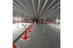 China Water Nipple Drinker Chicken Feeder supplier
