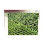 TCG057QVLHA-G00 Original 5.7 inch 320*240 LCD screen display for Kyocera for sale