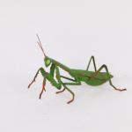 Small Iron Vivid Insect Lawn Decorations Metal Garden Decorations for sale
