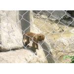 Hand Woven Zoo Wire Mesh Pongidae Enclosure 60 / 90 Degree Mesh Angle for sale