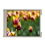 Touch NL8060BC21-11KG lcd display Screen for sale