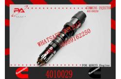 China Fuel Injector 4010029 For Cummins QSK23 QSK60 supplier