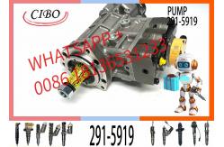 China C6.6 Engine Parts Injection Fuel Pump 291-5919 10R-7660 2641A306 supplier