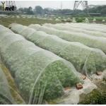 HDPE Greenhouse Bird Netting 20gsm - 30gsm Insect Netting For Garden for sale