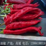 Long Dry Erjingtiao Pepper Chilis Delicious Taste Nutritious Health Benefits Stemless for sale