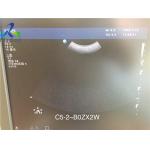 C5-2 Ultrasound Transducer/Broadband Curved Array/Abdominal Scanner