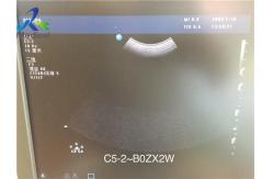 China C5-2 Ultrasound Transducer/Broadband Curved Array/Abdominal Scanner supplier