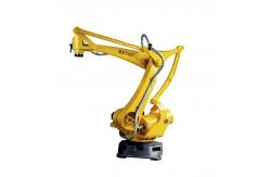 China Robot In China ESTUN  ER180  Automated Stacking And Palletizing supplier
