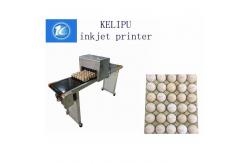 China High Speed Food Inkjet Printer / Edible Printing Machine For Whole Disk Eggs supplier