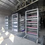 1.4m 1.75m Automatic Poultry Manure Belt System H Chicken Cage Use for sale