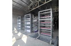 China 1.25m Hens Poultry Manure Removal System 3-8tiers Automated supplier