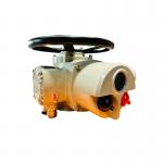Intelligent Electric Multi Turn Actuator Explosion Proof 1800NM IP67 for sale