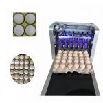High Resolution Food Inkjet Printer , Eggs Expiry Date Printing Machine  for sale