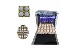 China Automatic Egg Printing Machine For Date , Time , Serial Number supplier