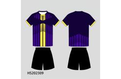 China 100% Polyester Custom Team Jersey Permeable 140-165gsm Fabric Weight supplier