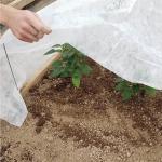 Agrosheeting Pp Spunond Agriculture Non Woven Cover Frost Protection Blanket Cover With 3% UV for sale