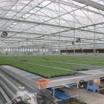Lightweight Versatile Greenhouse Tables Expandable for Growing Various Plant Types Rust Resistant for sale