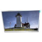 LQ090Y3DG01A 9.0 inch 800*480 LCD Screen Display Panel for sale