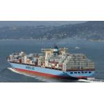 Speedy Ocean Freight Shipping From China To USA for sale