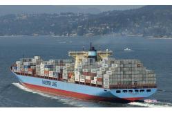 China Speedy Ocean Freight Shipping From China To USA supplier