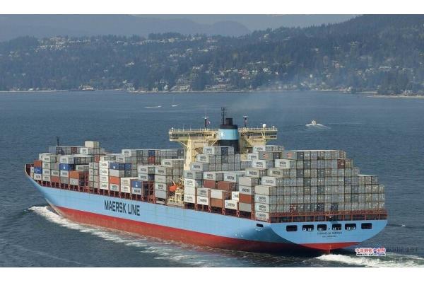 Speedy Ocean Freight Shipping From China To USA