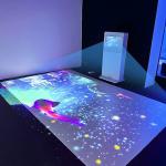Northern Lights Interactive Projection Game Mobile Interactive Games Projector for sale