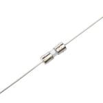 3.6x10mm Glass Tube Fuses / 10 Amp Slow Blow Fuse Axial Lead 250V for sale
