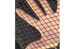 China 1m - 500m Vineyard Bird Netting Anti UV Bird Netting For Tomato Plants supplier