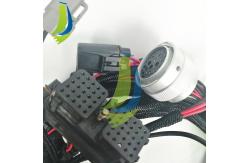 China 3163891 Control Wiring HarnessFor For QSK19 Engine supplier