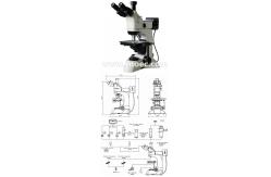 China Learning Inverted Metallurgical microscopes Halogen Lamp Microscope A13.0208 supplier