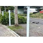 Woven X Tend Zoo Aviary Netting 1.5mm With 50mm Hole