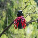 Artistic Animal Metal Insect Garden Ornaments Multicolor Eye Catching for sale
