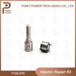 7135-575 Delphi Injector Repair Kit For 28231462 VW 1.2L Nozzle L363PRD Nozzle-Valve Kit for sale