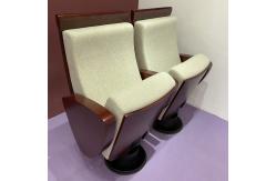 China Concealed Cinema Chair Auditorium Theater Seating System supplier