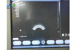 China Siemens EC9-4 Compatible Ultrasound Transducer Endocavity Probe X300 System In Hospital supplier