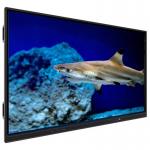 Interactive Flat Panel with 20 Point Touch 350 Cd/m² Brightness and 50,000 Hrs Lifetime for Enhanced Teaching and Collaboration for sale