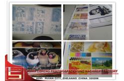 China Ceramic Flexo Printing Machine / Flexographic printing machine supplier