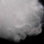 Hollow Hard Cotton Low Melting Fiber 15D 64mm Solid Staple Polyester Fibre for sale