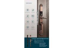 China Red Bronze Automatic Fingerprint Door Lock Zinc Alloy App Door Lock supplier