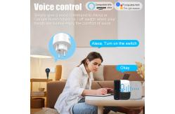 China Tuya Wifi Smart Socket Remote Voice Control Plug With Scheduling And Automation Functions supplier