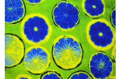 China Semi - Bleached 10OZ Cotton Canvas Digital Inkjet Printed Fast Drying supplier
