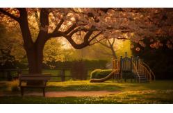 China Inclusive Swing manufacturer
