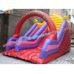 Outdoor Inflatables blow up Slides with thick D anchor point rentals for commercial, home for sale