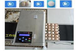 China High Resolution Egg Inkjet Date Code Printer With No Need Clean Nozzle supplier