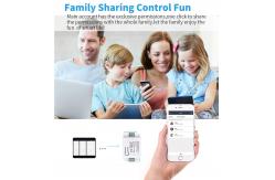 China 10A-16A Wifi Smart Switches with Voice Control and Wireless Security supplier