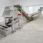 Electric Gas Sweet Potato Chips Making Machine Production Line for sale