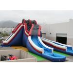 Inflatable Water Slide, hippo slide , inflatable outdoor supper slide for sale