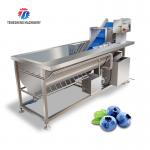180KG 304 stainless steel eddy current vegetable washing machine Eddy current cleaning machine for sale
