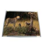 For AUO T150XG01 V2 15.0 inch LCD Display Panel for sale