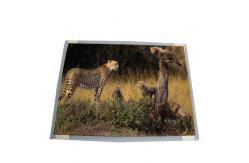 China For AUO T150XG01 V2 15.0 inch LCD Display Panel supplier